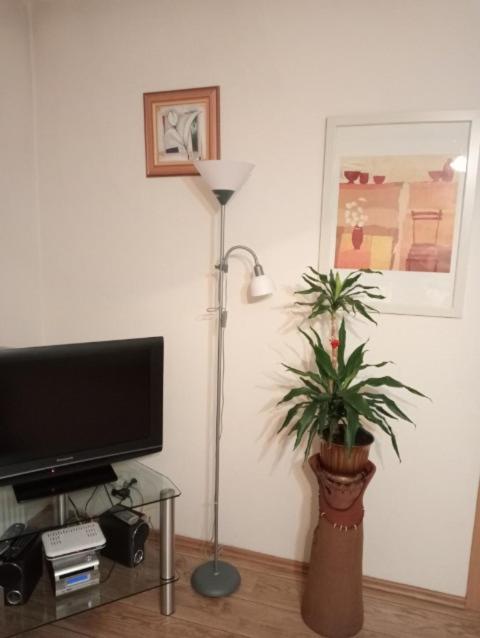 Apartament Stroma 4 Zakopane Buitenkant foto